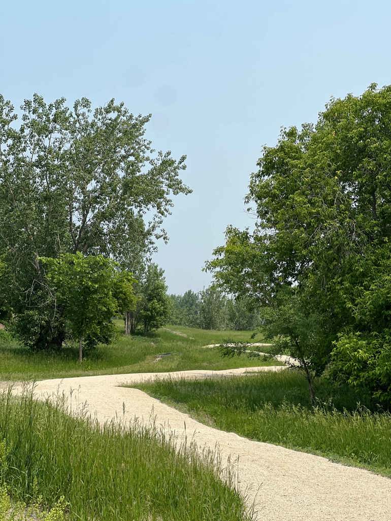 A winding gravel trail curves through a lush green landscape, surrounded by tall grasses and mature trees on both sides. The sky is clear and blue, adding to the peaceful, natural setting